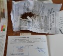 Наркотики в кошельке привез в Корсаков пассажир теплохода