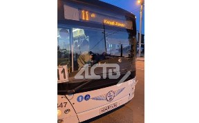 Общество