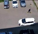 Выбежал из-за машины: появилось видео наезда автомобиля на пятилетнего мальчика в Ногликах