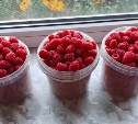 600-3500 за литр: на Камчатке началась продажа осенних ягод и грибов