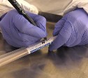 Вакцина от коронавируса в России может появиться в июле