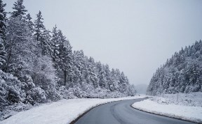 Общество