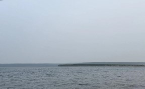 Общество