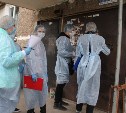 Более 200 человек, контактировавших с заболевшими COVID-19, выявили в Корсакове 