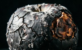 Происшествия