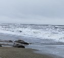 Опасный подъём уровня моря зафиксировали у побережья Сахалина