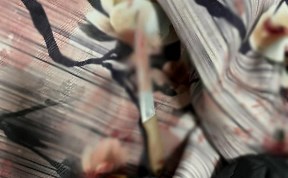 Происшествия