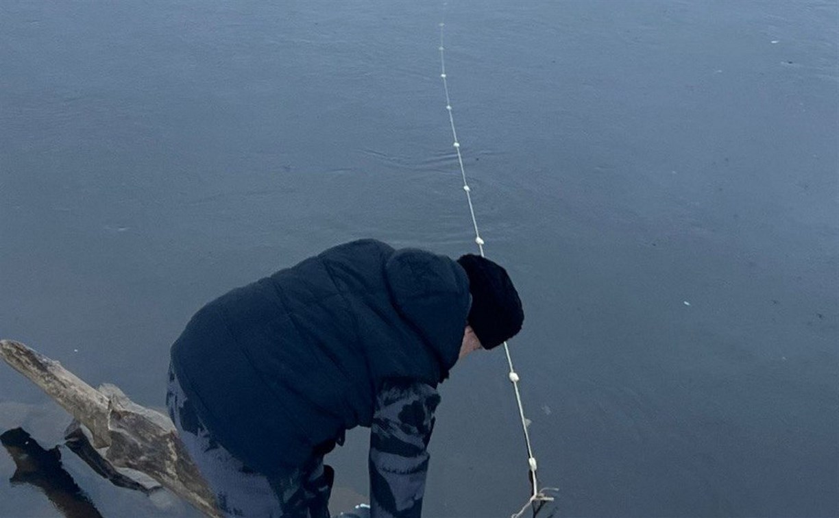 22 кг незаконно добытых биоресурсов изъяли у браконьеров на Сахалине за неделю 