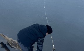 Происшествия