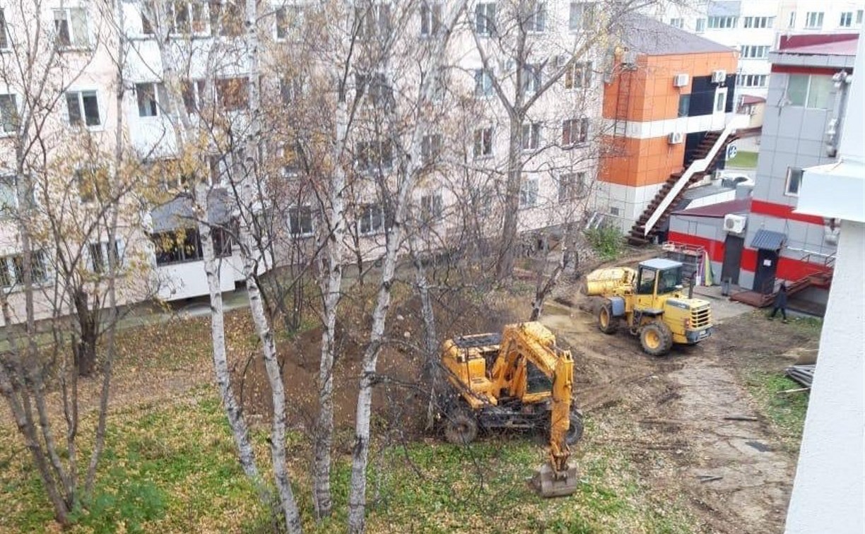 Собственника торгового центра в Южно-Сахалинске накажут за порчу зеленых насаждений  Собственника торгового центра в Южно-Сахалинске накажут за порчу зеленых насаждений