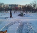 "Не въехать в Невельского": дети давят ватрушками саженцы около памятника в Корсакове