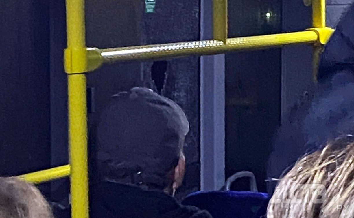 Большегруз на Сахалине снёс зеркало пассажирского автобуса, разбито стекло