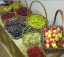Арбузы, виноград и огурец-гранат продавали сахалинские школьники на выставке "Золотая осень 2013" (ФОТО)