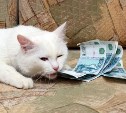 Россиян защитят от навязывания им дополнительных платных товаров и услуг