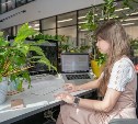 Сколько углерода хранят леса Сахалина? Ответ теперь ищет искусственный интеллект
