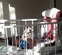 Медсестры в Южно-Сахалинске связали мальчика колготками