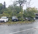 Дерево во время циклона рухнуло на автомобиль в Южно-Сахалинске и порвало провод