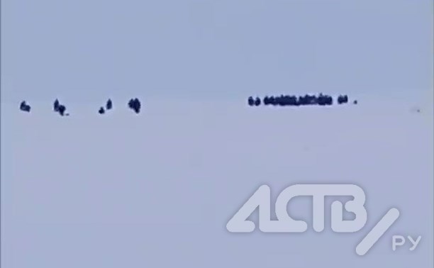 "Поплыли": льдину с рыбаками оторвало у берегов Сахалина