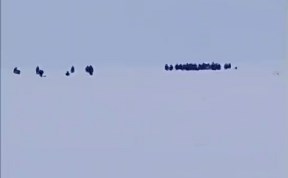 Происшествия