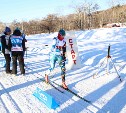 Чемпионат области по лыжным гонкам прошел на Сахалине