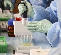В Сахалинской области за сутки коронавирус диагностировали у 36 человек