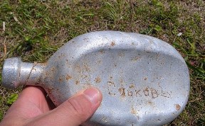 Общество