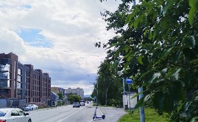 Общество