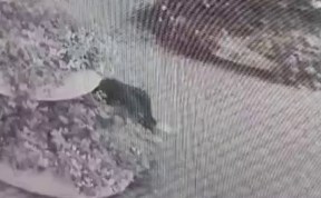 Общество