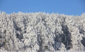 Общество