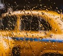 Такси под угрозой: перевозчики требуют льгот, иначе уйдут в тень