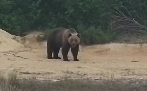 Общество