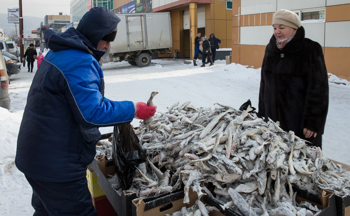 Социальная рыба подешевела в Сахалинской области