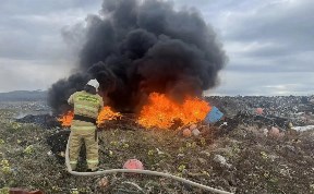 Происшествия