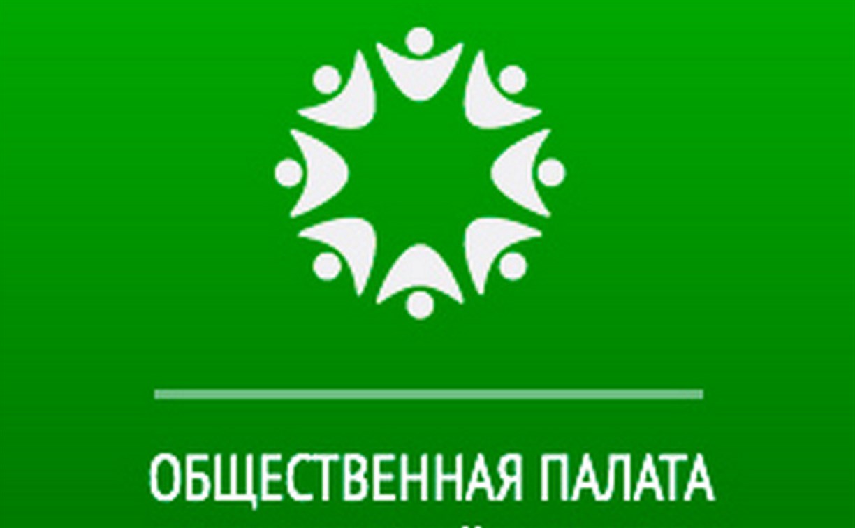 Треть кандидатур в Общественную палату Сахалина уже утверждена