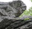Успейте записаться: сахалинцев бесплатно отвезут на Лягушку