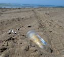 В Аниве пройдет очередная акция по уборке пляжа