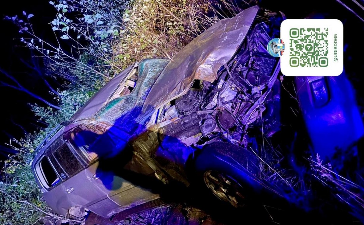 Автомобилистка на Курилах попыталась объехать животное и улетела в кювет Автомобилистка на Курилах попыталась объехать животное и улетела в кювет
