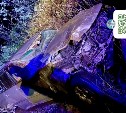 Автомобилистка на Курилах попыталась объехать животное и улетела в кювет