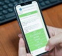 Всегда на связи: в администрации Южно-Сахалинска запустили чат-бот для работы с обращениями горожан