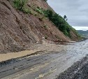 Мощные ливни размыли дорогу в Углегорском районе и залили подвалы жилых домов