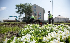 Общество