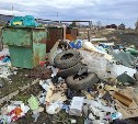 Собаки и ветер растаскивают мусор со стихийной свалки по селу Кировскому - жители просят о помощи