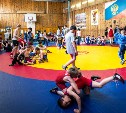 Спортсмены из 11 населенных пунктов Сахалина приняли участие в турнире по вольной борьбе