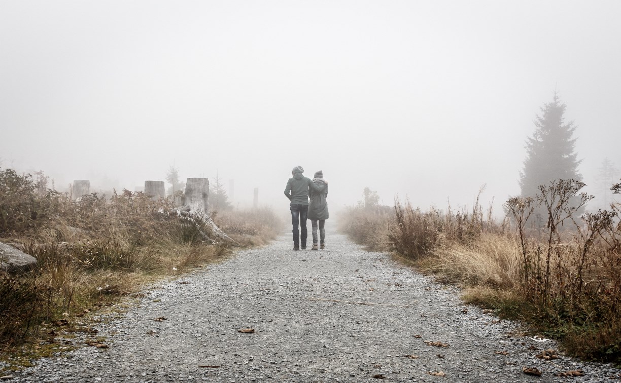 Немного снега и дождя: какой будет погода в районах Сахалинской области 22 ноября