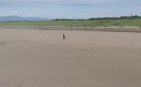 Общество