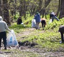 30 мешков мусора убрали активисты с берега реки Красносельской