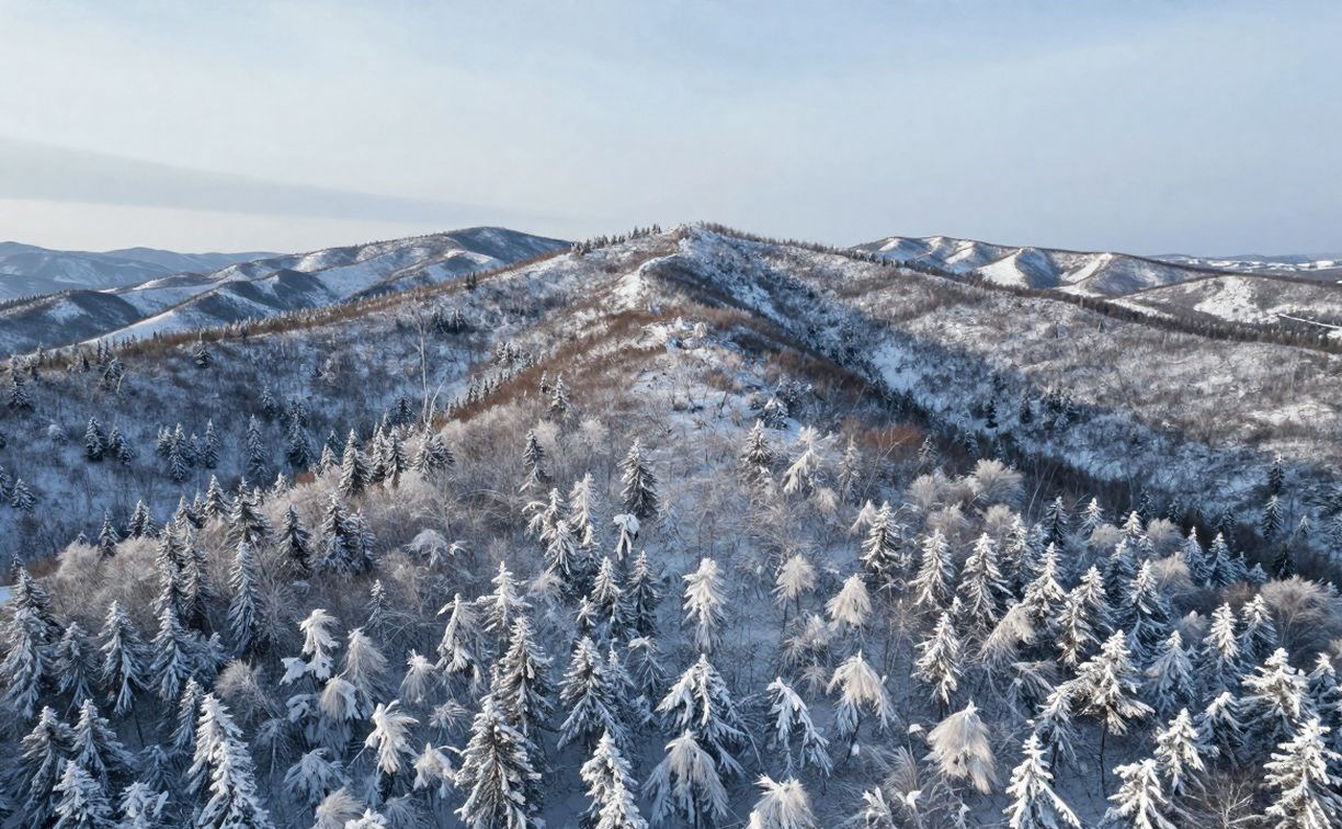 В Амурской области пропал вертолёт