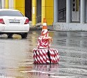 Грустный клоун или новый столбик Вишневского: странный дорожный "знак" обсуждают в Южно-Сахалинске