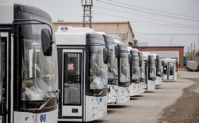 Автобусы маршрутов №256 и 256А снова начали ходить до Троицкого