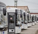Автобусы маршрутов №256 и 256А снова начали ходить до Троицкого